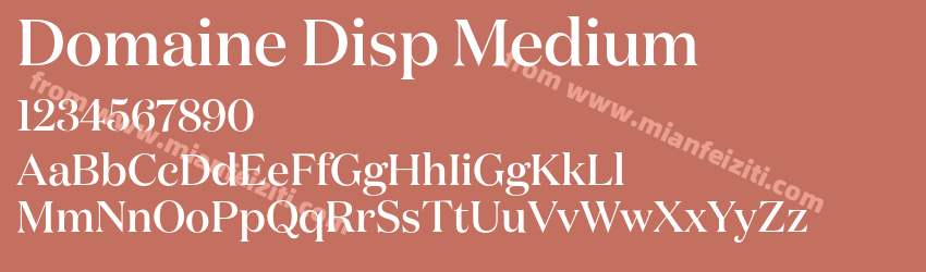 Domaine Disp Medium预览图1 Domaine Disp Medium预览图1