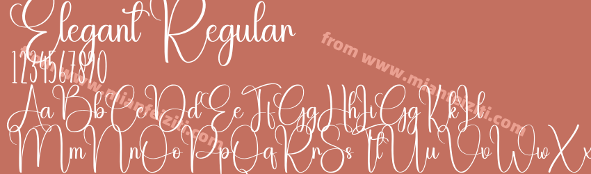Elegant Regular预览图1 Elegant Regular预览图1