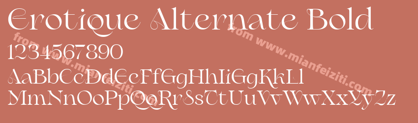 Erotique Alternate Bold预览图1 Erotique Alternate Bold预览图1