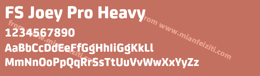 FS Joey Pro Heavy预览图1 FS Joey Pro Heavy预览图1