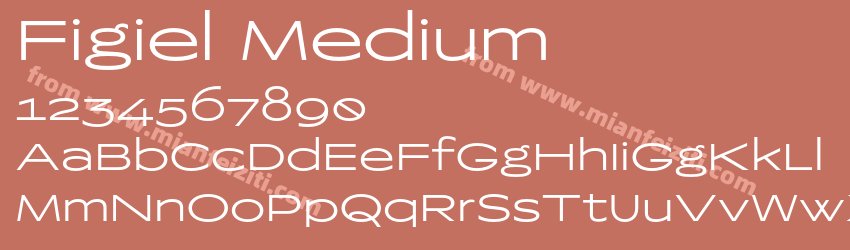 Figiel Medium预览图1 Figiel Medium预览图1