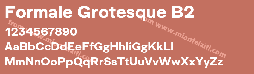 Formale Grotesque B2预览图1