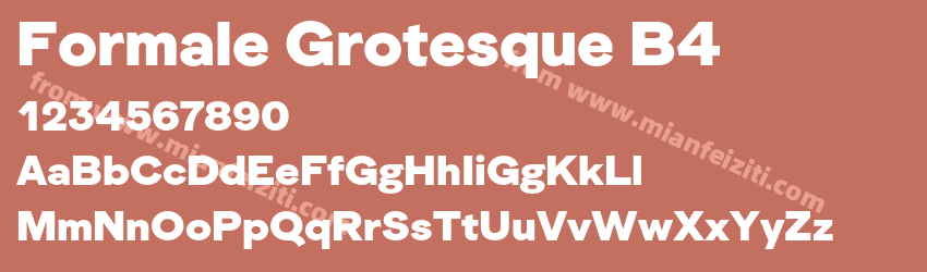 Formale Grotesque B4预览图1