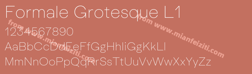 Formale Grotesque L1预览图1