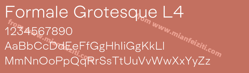 Formale Grotesque L4预览图1