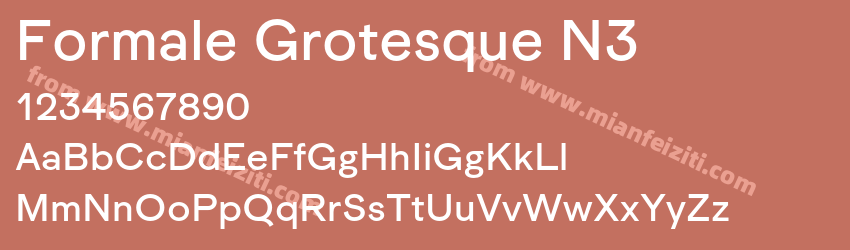 Formale Grotesque N3预览图1