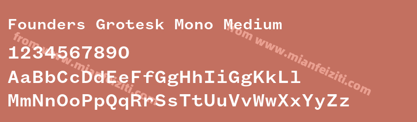 Founders Grotesk Mono Medium预览图1 Founders Grotesk Mono Medium预览图1