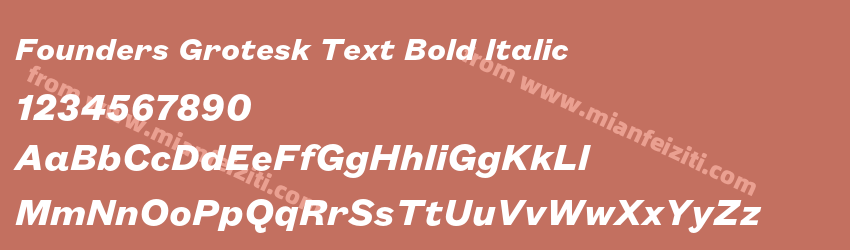 Founders Grotesk Text Bold Italic预览图1 Founders Grotesk Text Bold Italic预览图1