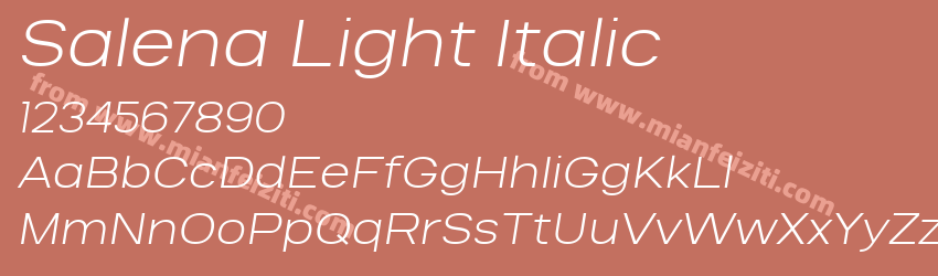 Salena Light Italic预览图1 Salena Light Italic预览图1