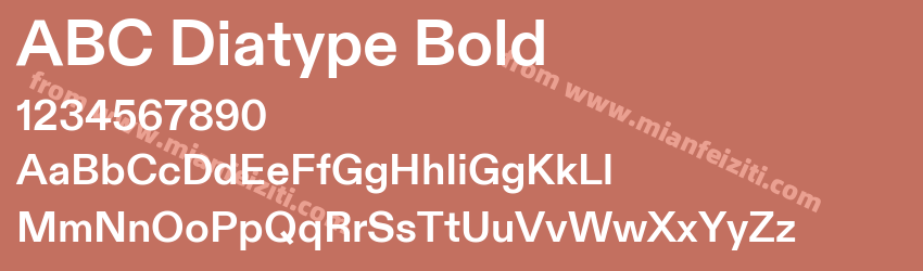 ABC Diatype Bold预览图1 ABC Diatype Bold预览图1