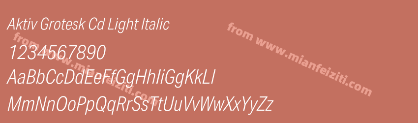 Aktiv Grotesk Cd Light Italic预览图1