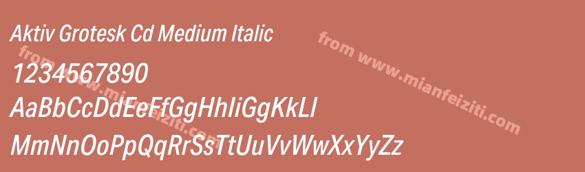 Aktiv Grotesk Cd Medium Italic预览图1 Aktiv Grotesk Cd Medium Italic预览图1