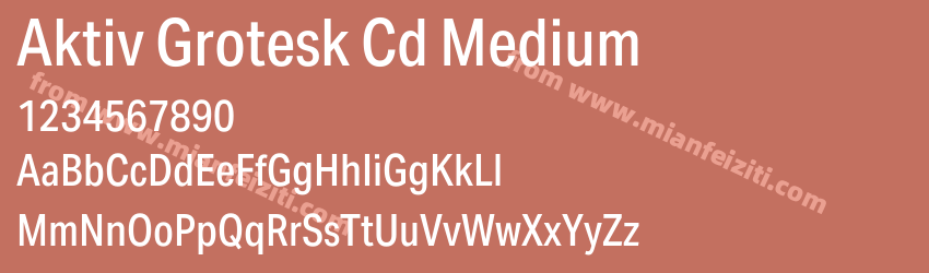 Aktiv Grotesk Cd Medium预览图1
