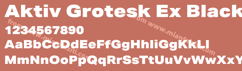 Aktiv Grotesk Ex Black预览图1 Aktiv Grotesk Ex Black预览图1