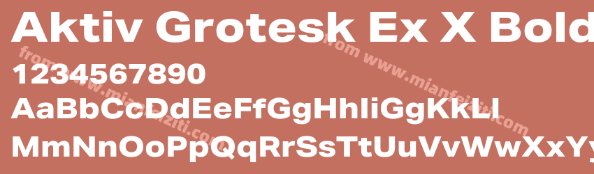 Aktiv Grotesk Ex X Bold预览图1