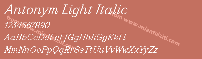 Antonym Light Italic预览图1 Antonym Light Italic预览图1
