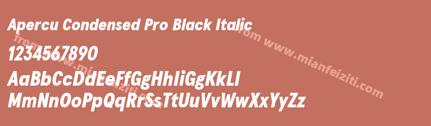 Apercu Condensed Pro Black Italic预览图1 Apercu Condensed Pro Black Italic预览图1