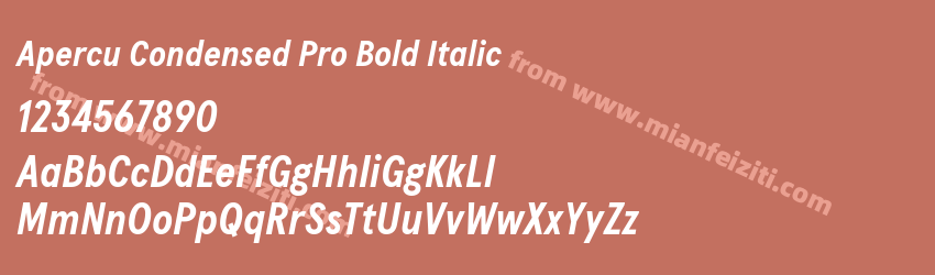 Apercu Condensed Pro Bold Italic预览图1 Apercu Condensed Pro Bold Italic预览图1