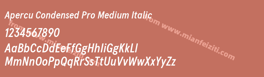 Apercu Condensed Pro Medium Italic预览图1