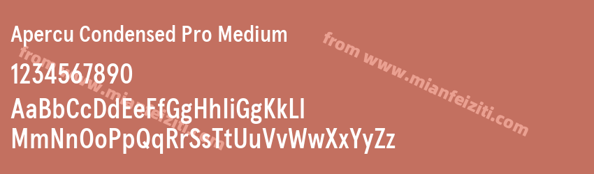 Apercu Condensed Pro Medium预览图1 Apercu Condensed Pro Medium预览图1