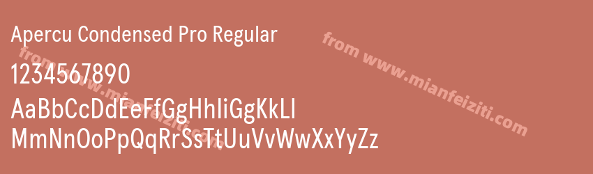 Apercu Condensed Pro Regular预览图1 Apercu Condensed Pro Regular预览图1