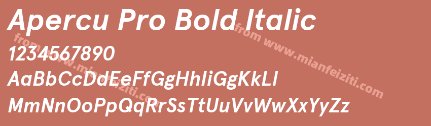 Apercu Pro Bold Italic预览图1 Apercu Pro Bold Italic预览图1