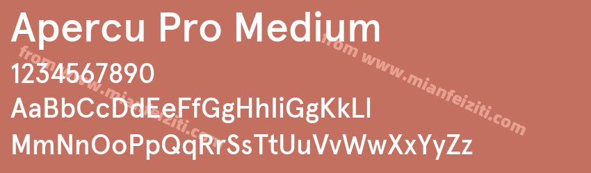 Apercu Pro Medium预览图1