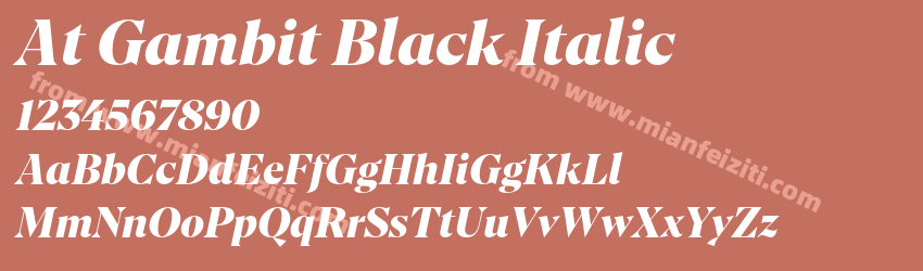 At Gambit Black Italic预览图1