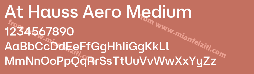 At Hauss Aero Medium预览图1 At Hauss Aero Medium预览图1