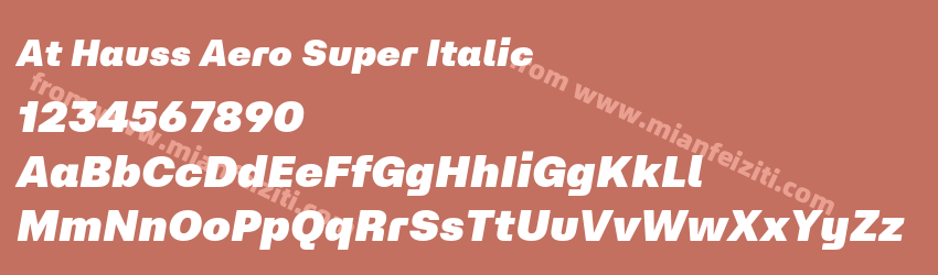 At Hauss Aero Super Italic预览图1