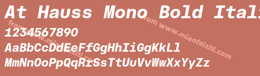 At Hauss Mono Bold Italic预览图1 At Hauss Mono Bold Italic预览图1