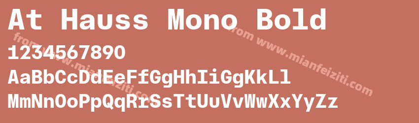 At Hauss Mono Bold预览图1