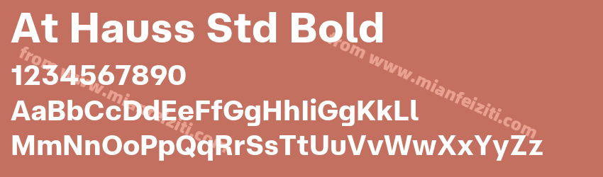 At Hauss Std Bold预览图1 At Hauss Std Bold预览图1