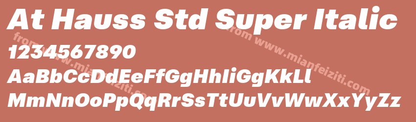 At Hauss Std Super Italic预览图1 At Hauss Std Super Italic预览图1