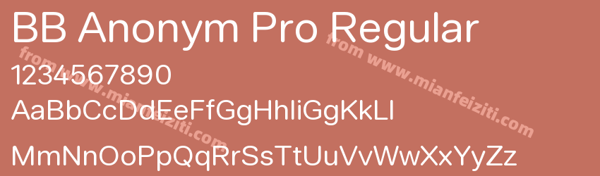 BB Anonym Pro Regular预览图1