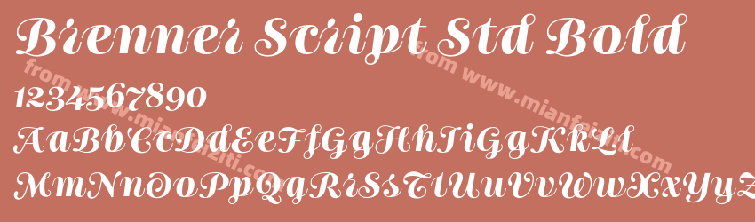 Brenner Script Std Bold预览图1 Brenner Script Std Bold预览图1