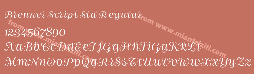 Brenner Script Std Regular预览图1