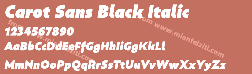 Carot Sans Black Italic预览图1 Carot Sans Black Italic预览图1