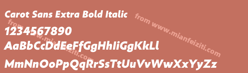 Carot Sans Extra Bold Italic预览图1