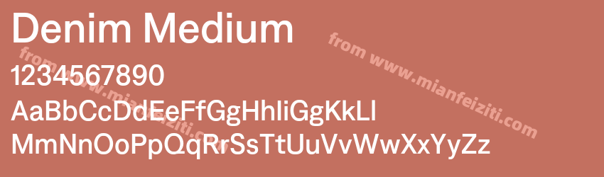 Denim Medium预览图1 Denim Medium预览图1