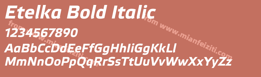 Etelka Bold Italic预览图1 Etelka Bold Italic预览图1