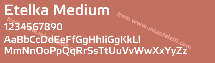 Etelka Medium预览图1 Etelka Medium预览图1