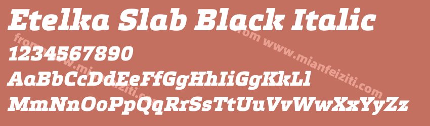 Etelka Slab Black Italic预览图1 Etelka Slab Black Italic预览图1