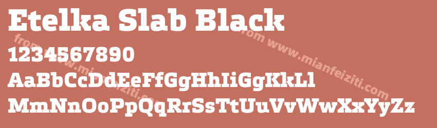 Etelka Slab Black预览图1 Etelka Slab Black预览图1