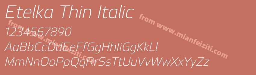 Etelka Thin Italic预览图1 Etelka Thin Italic预览图1