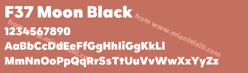 F37 Moon Black预览图1 F37 Moon Black预览图1