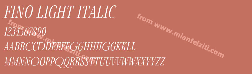 Fino Light Italic预览图1 Fino Light Italic预览图1