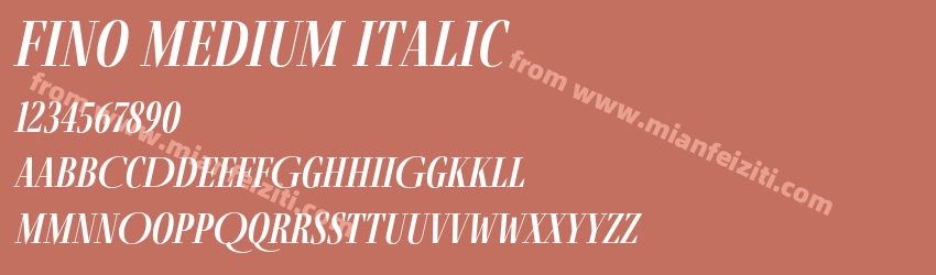 Fino Medium Italic预览图1 Fino Medium Italic预览图1