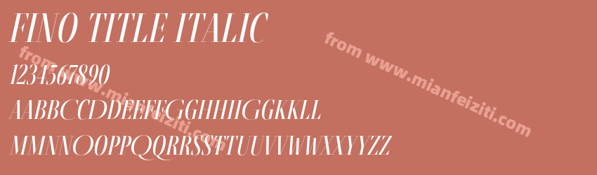 Fino Title Italic预览图1 Fino Title Italic预览图1