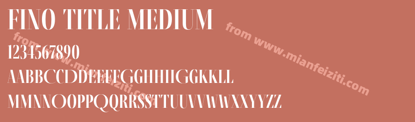 Fino Title Medium预览图1